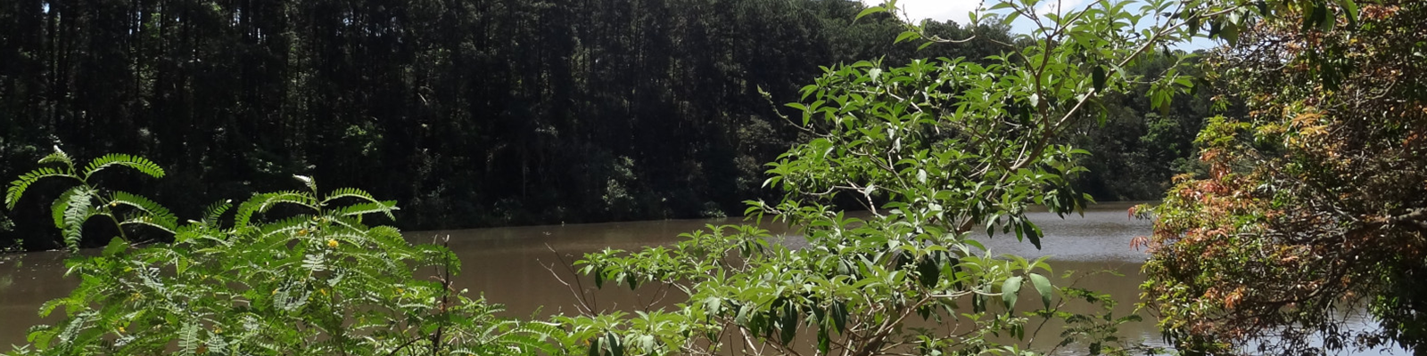 Vista da lagoa UFSCar - São Carlos