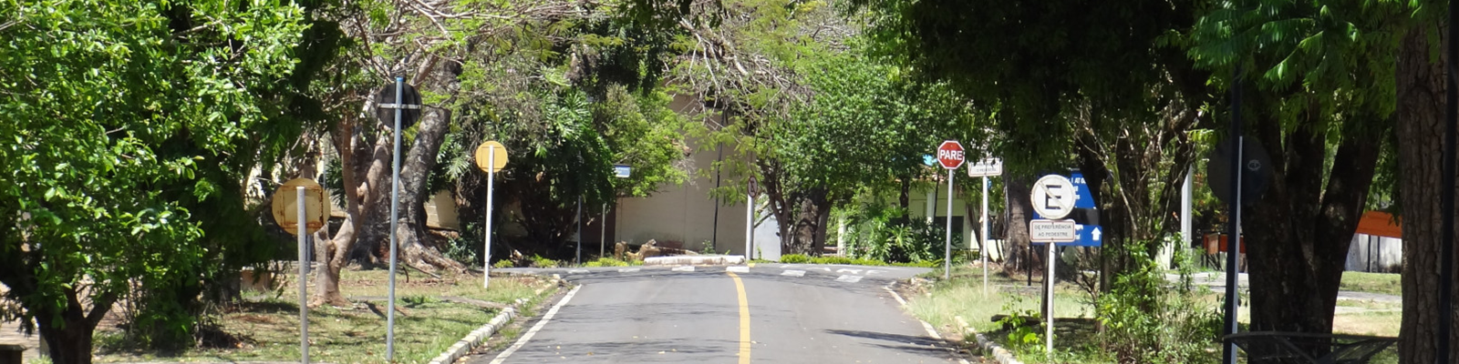 Rua perto da lagoa da área sul UFSCar - São Carlos